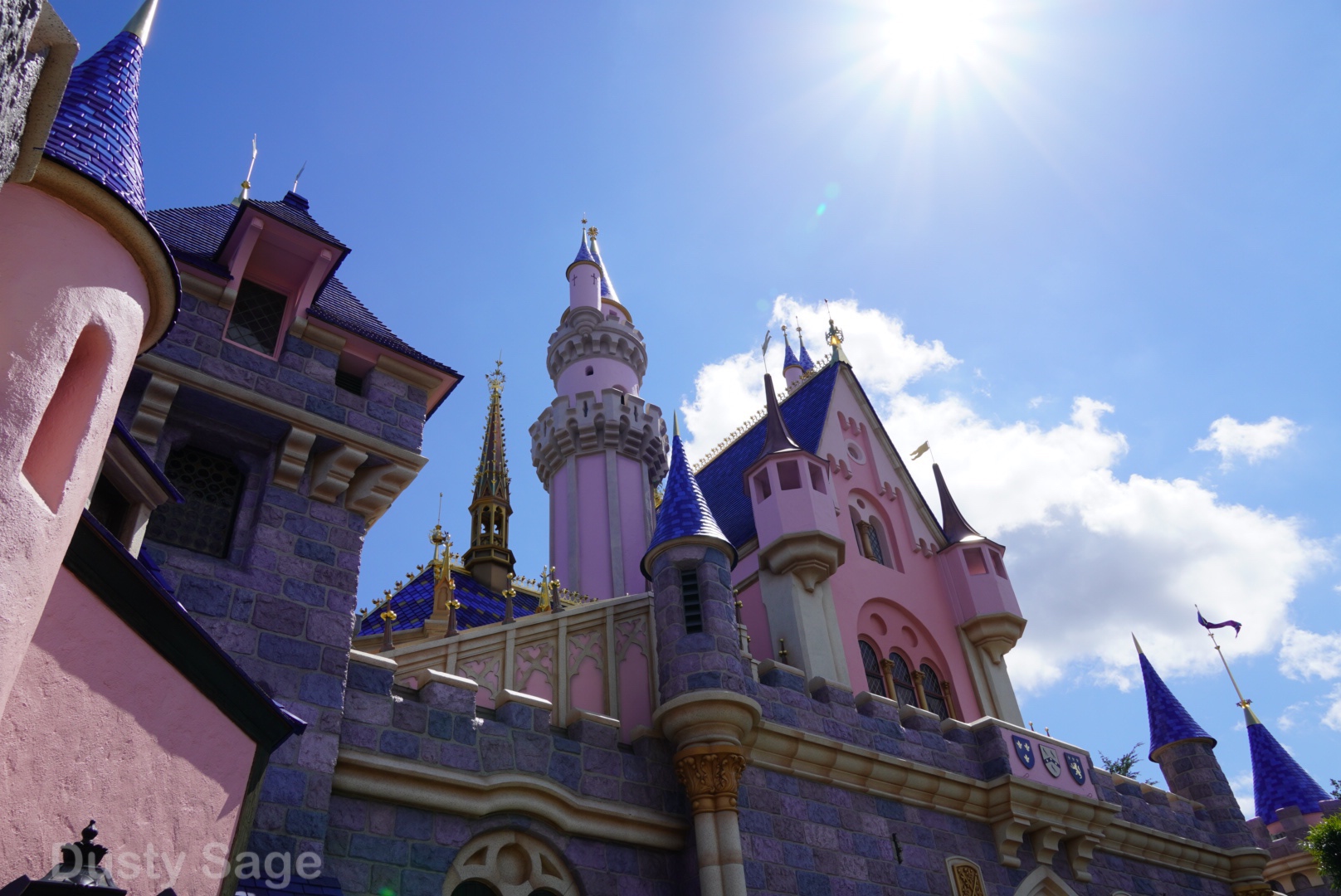 , Disneyland Update – Beauty Awakens, Ears End & Honeyboo You