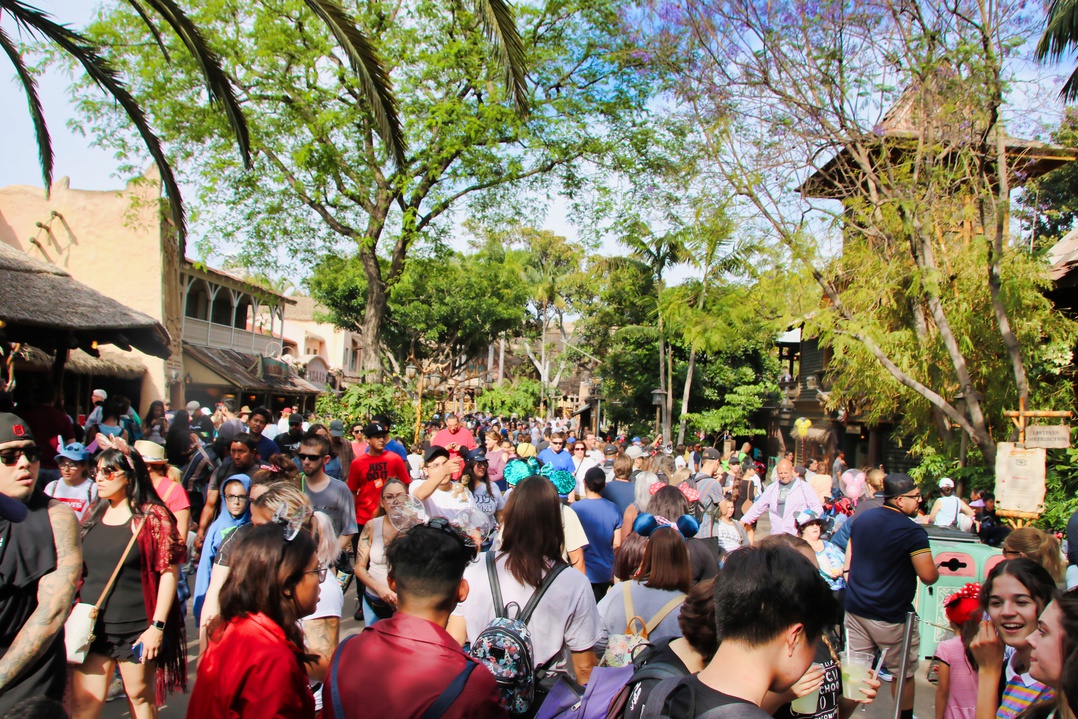 , Disneyland Update – Announcement Overload Therapy