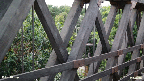 , Surprise Disneyland Resort Update: Oh So Close
