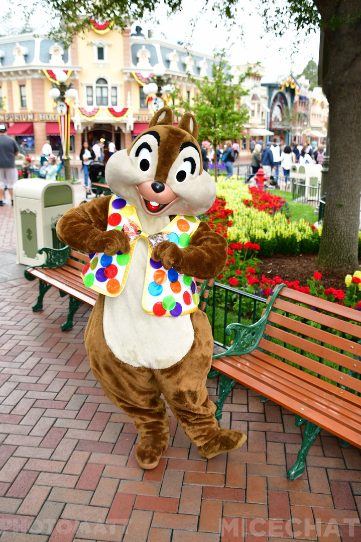 , Disneyland Update – May the Force Be With You, and You, and You