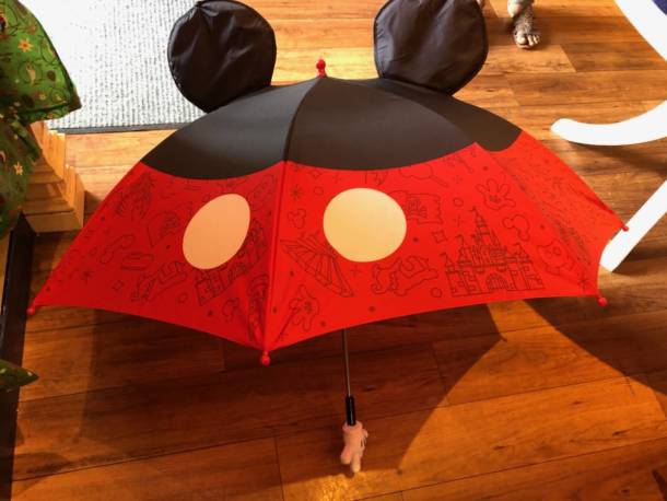 Rain Gear, Rainy Days Are For Shopping at Disneyland