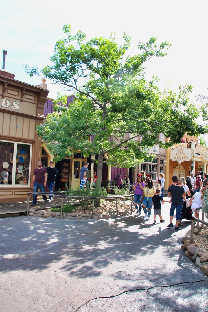 , Disneyland Update – Announcement Overload Therapy