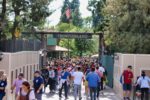 Hub-Construction-Frontierland-3