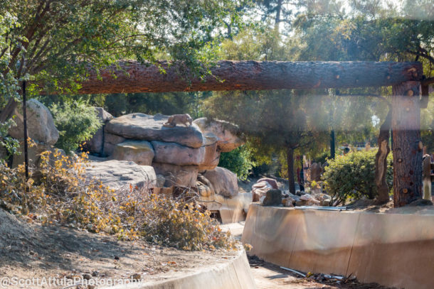 Calico River Rapids, Knott’s Berry Farm Update: Calico River Rapids – A New Frontier