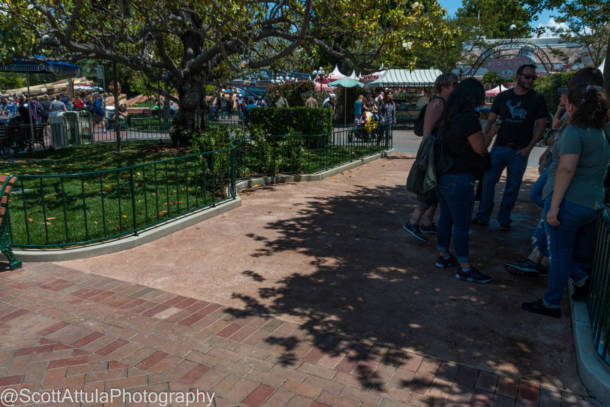 , Disneyland Update &#8211; Beauty Awakens, Ears End &#038; Honeyboo You