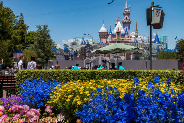 , Disneyland Update &#8211; Beauty Awakens, Ears End &#038; Honeyboo You