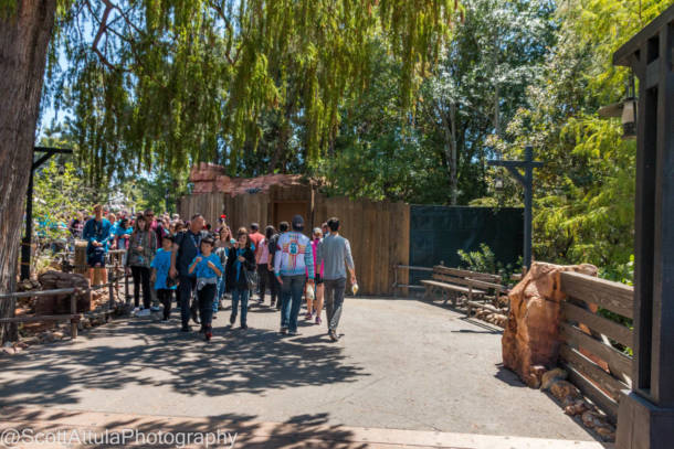 , Disneyland Update &#8211; Beauty Awakens, Ears End &#038; Honeyboo You