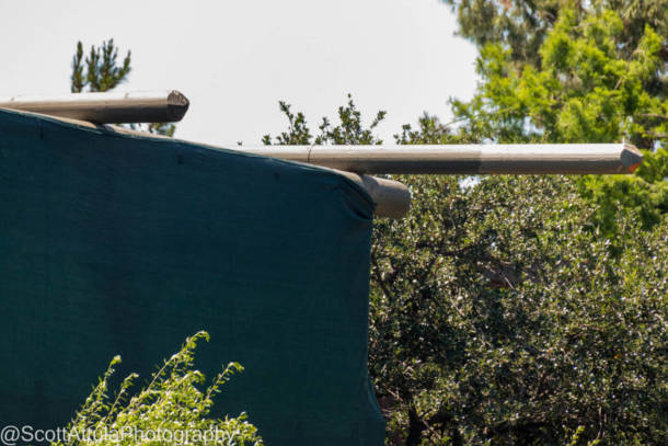 , Disneyland Update – Beauty Awakens, Ears End & Honeyboo You