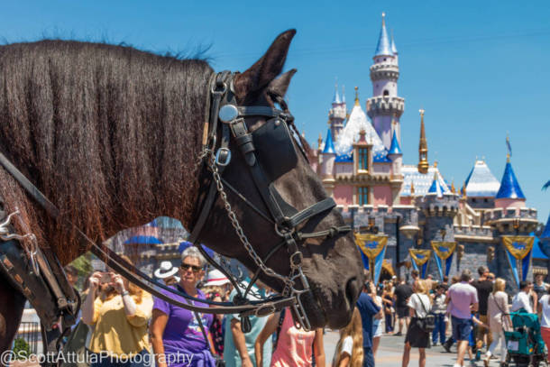 Project Stardust Complete, Disneyland Update: And Then They Were DONE!