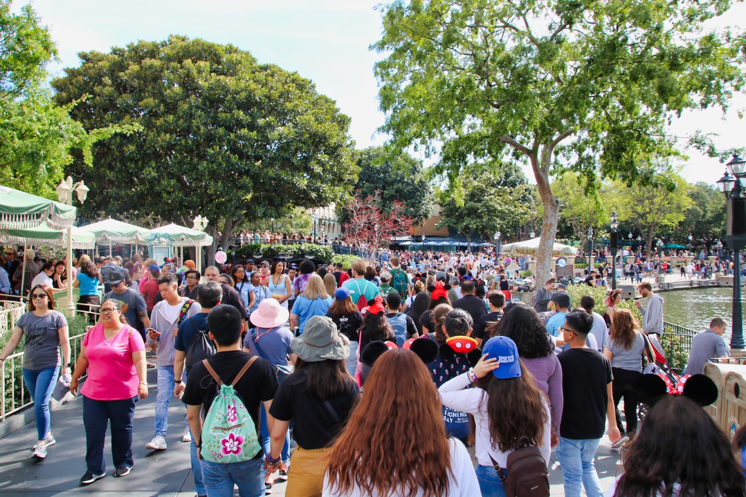 , Disneyland Update – Announcement Overload Therapy