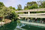 Tomorrowland-Fantasia-Gardens-Monorail