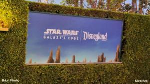 , Disneyland Update: Look Ma, No Crowds!