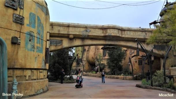 , Disneyland Update: Look Ma, No Crowds!
