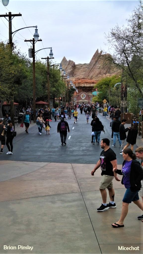 , Disneyland Update: Look Ma, No Crowds!