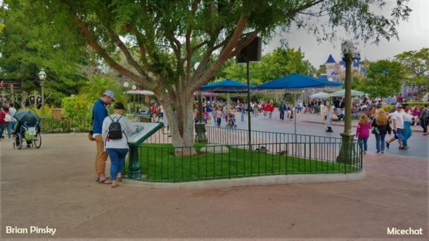 , Disneyland Update: Look Ma, No Crowds!