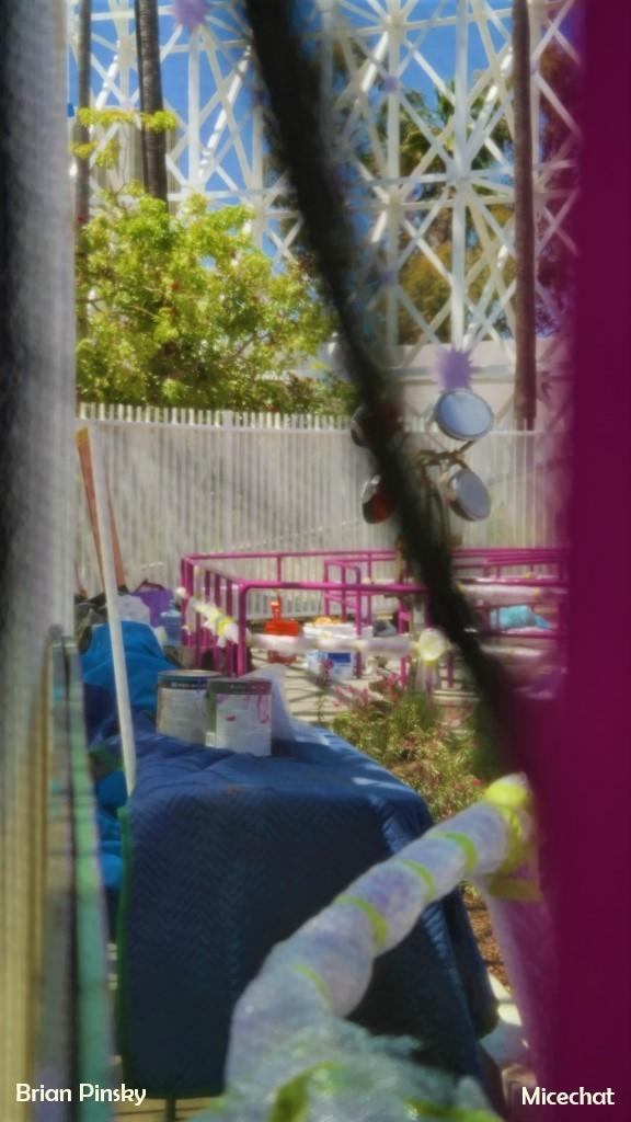 , Disneyland Update: Roar and Snore