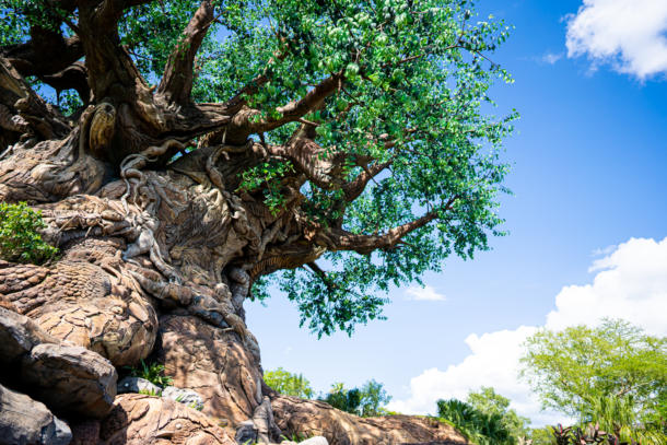 , Dateline Disney World: Club 33 of the Wild