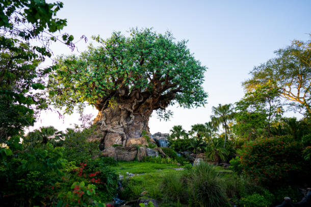 , Dateline Disney World: Club 33 of the Wild