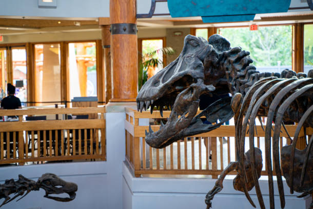 , Dateline Universal: Orlando’s Best New Attraction?