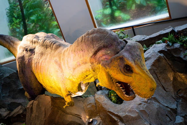 , Dateline Universal: Orlando’s Best New Attraction?