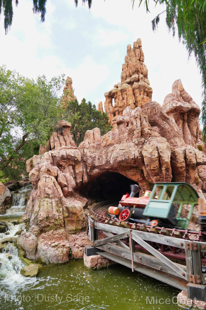 Best Disneyland Thrill Ride, Best Disneyland Thrill Ride Revealed!