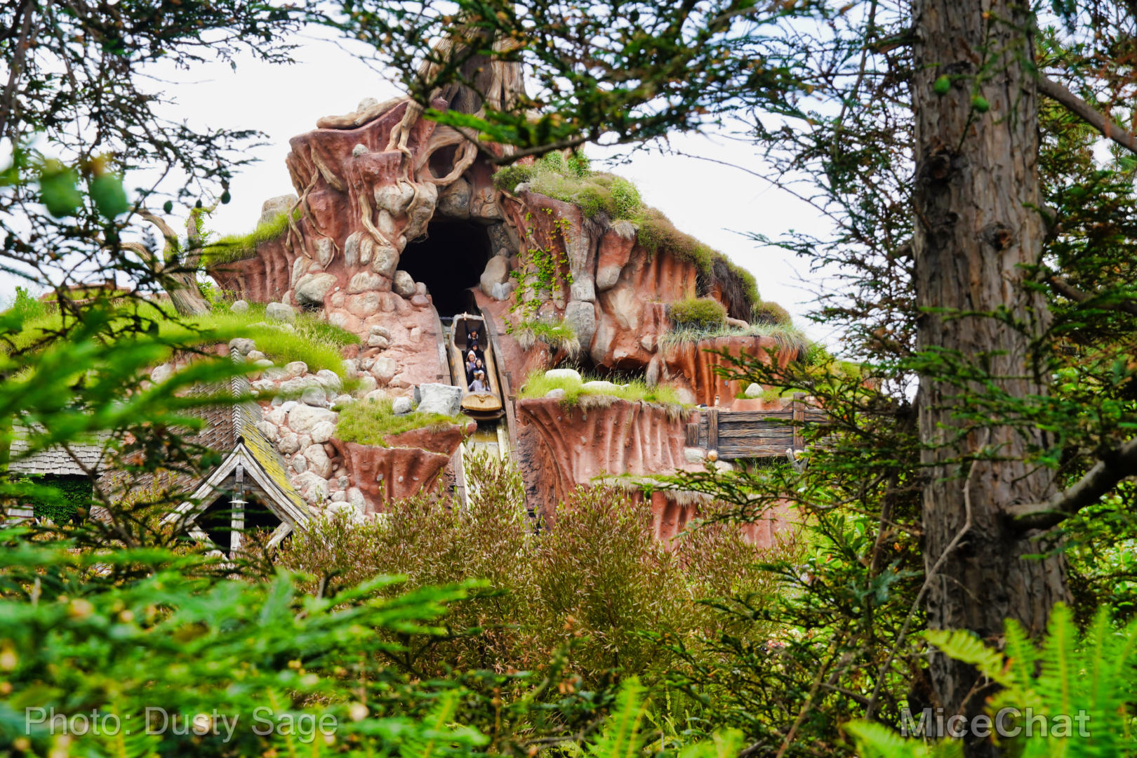 , Disneyland Update – Red, White and Boooooo