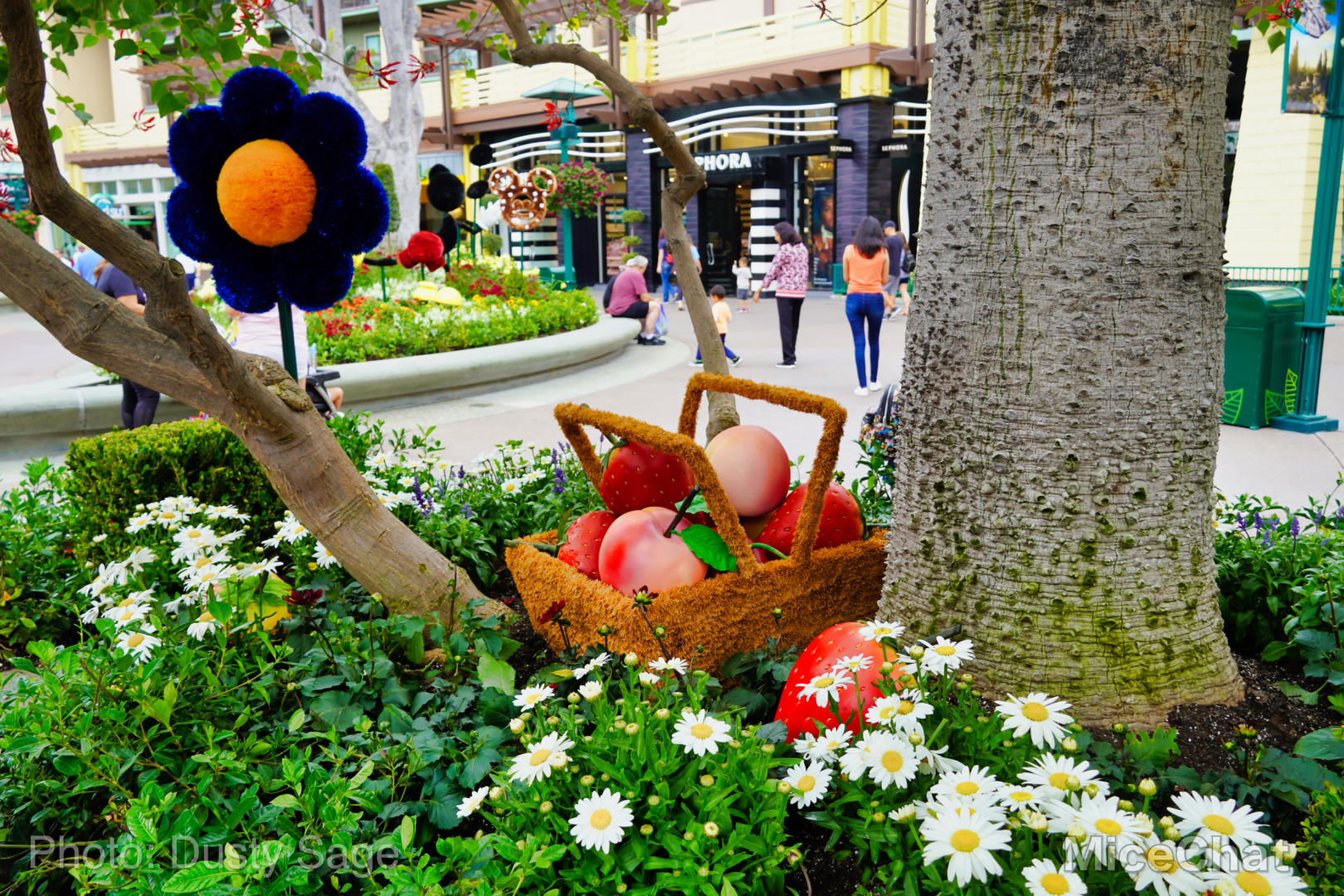 , Disneyland Update – Red, White and Boooooo