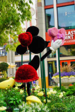 Downtown-Disney-Topiary-Illusion-1-MiceChat