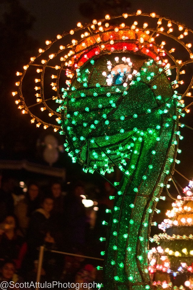 Main Street Electrical Parade Returns, The Main Street Electrical Parade Returns to Disneyland