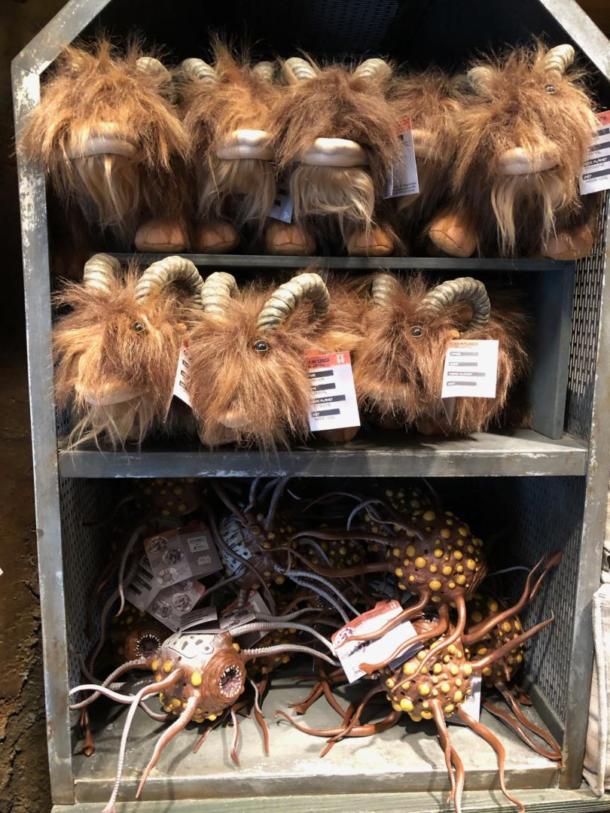 Galaxy's Edge Marketplace, A Tour of Black Spire Outpost&#8217;s Marketplace in Star Wars: Galaxy&#8217;s Edge