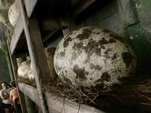 , Dateline Universal: Orlando’s Best New Attraction?