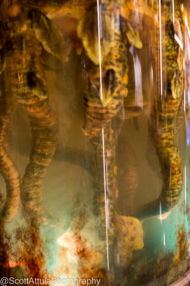 Dok-Ondar&rsquo;s Den of Antiquities, Relive Star Wars’ Past at Dok-Ondar&rsquo;s Den of Antiquities