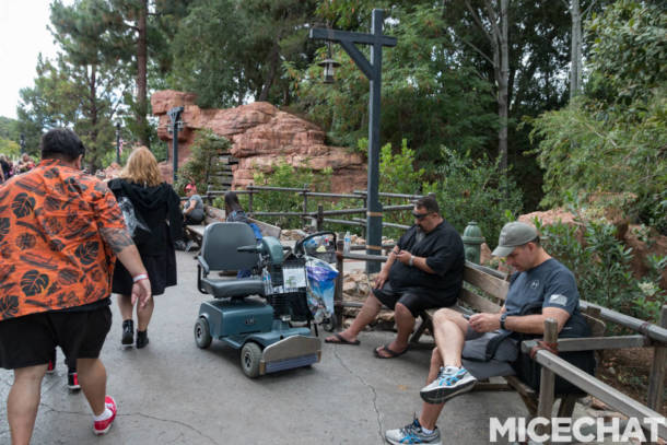 , Disneyland Update: Success or Distress?