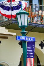Patriotic-Decorations-DCA-4-MiceChat