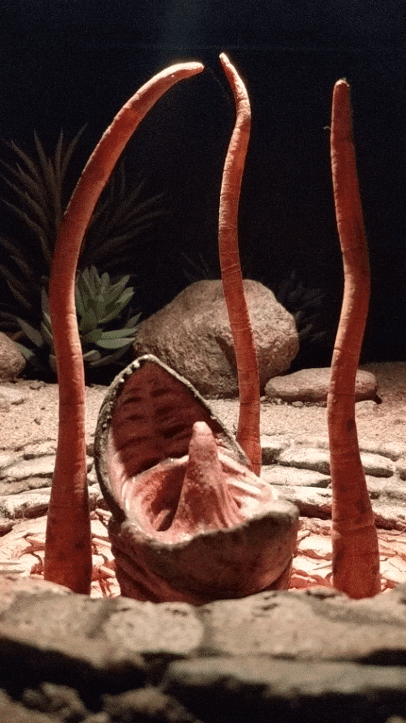 Dok-Ondar&rsquo;s Den of Antiquities, Relive Star Wars’ Past at Dok-Ondar&rsquo;s Den of Antiquities