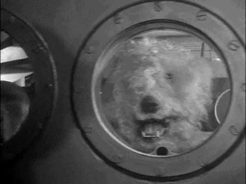 , Disneyland’s Matterhorn, Monorail & Submarines Still Sexy at 60