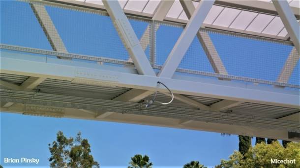, Disneyland Resort Update: The California Shake, Shake, Shake