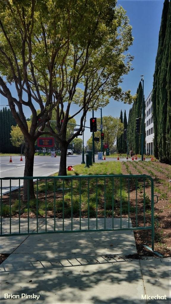 , Disneyland Resort Update: The California Shake, Shake, Shake