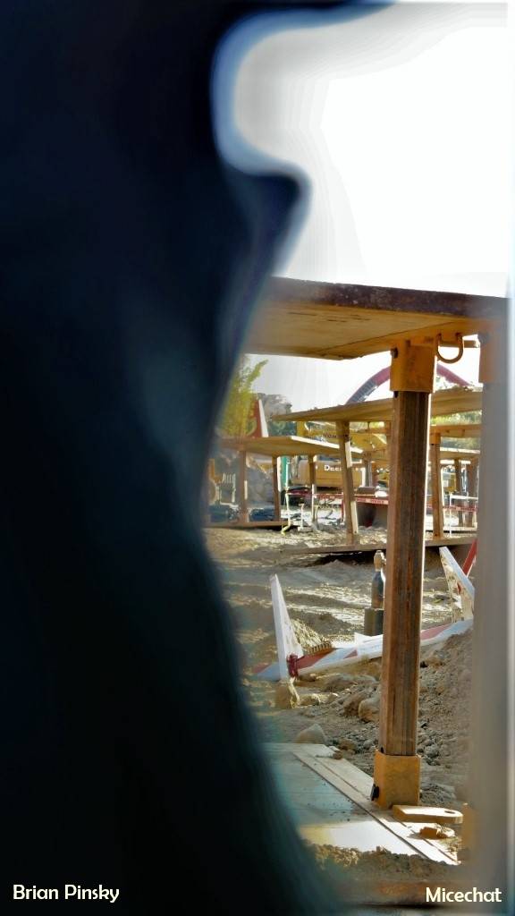 , Disneyland Resort Update: The California Shake, Shake, Shake