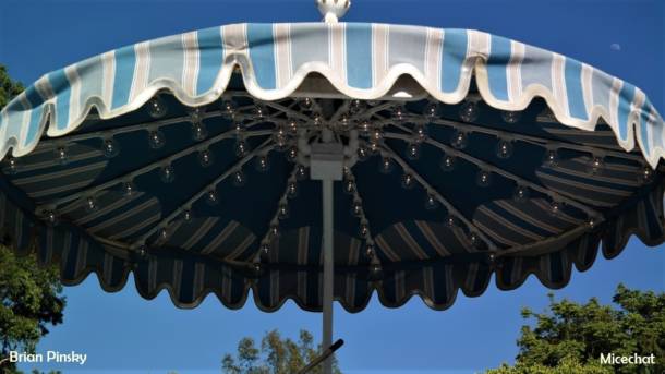 , Disneyland  Update &#8211; A Most Unusual Birthday