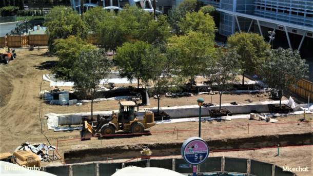 , Disneyland Update – A Most Unusual Birthday