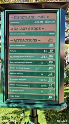 , Disneyland  Update – A Most Unusual Birthday