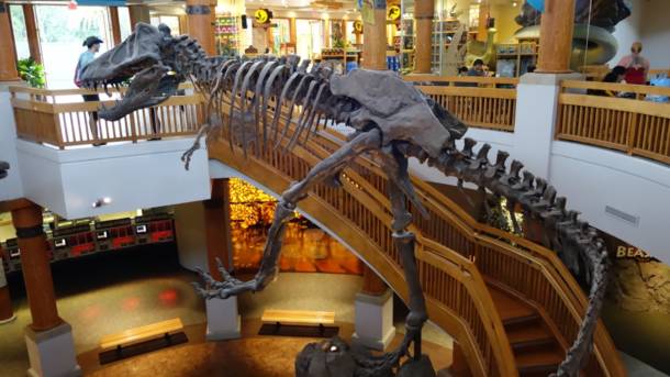 , Top Ten Universal Orlando Counter Service Restaurants