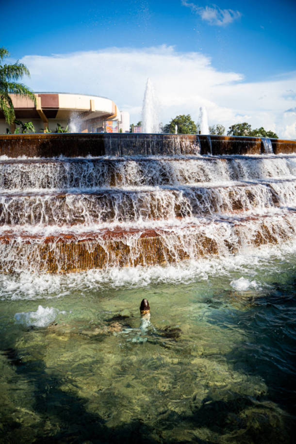 , Dateline Disney World: Epcot Under The Knife