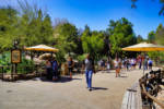 Disneyland-7-15-DSC00956