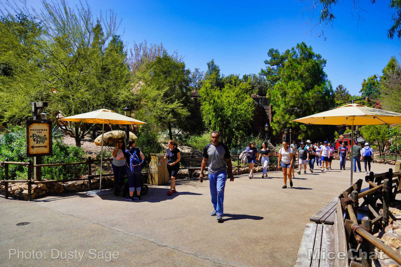 , Disneyland  Update &#8211; A Most Unusual Birthday