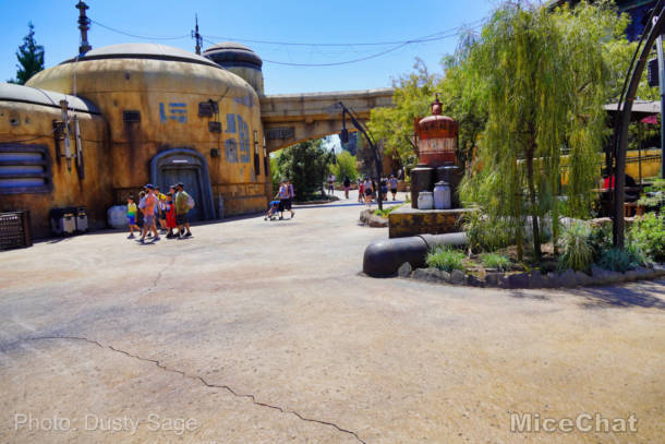, Disneyland Update – A Most Unusual Birthday