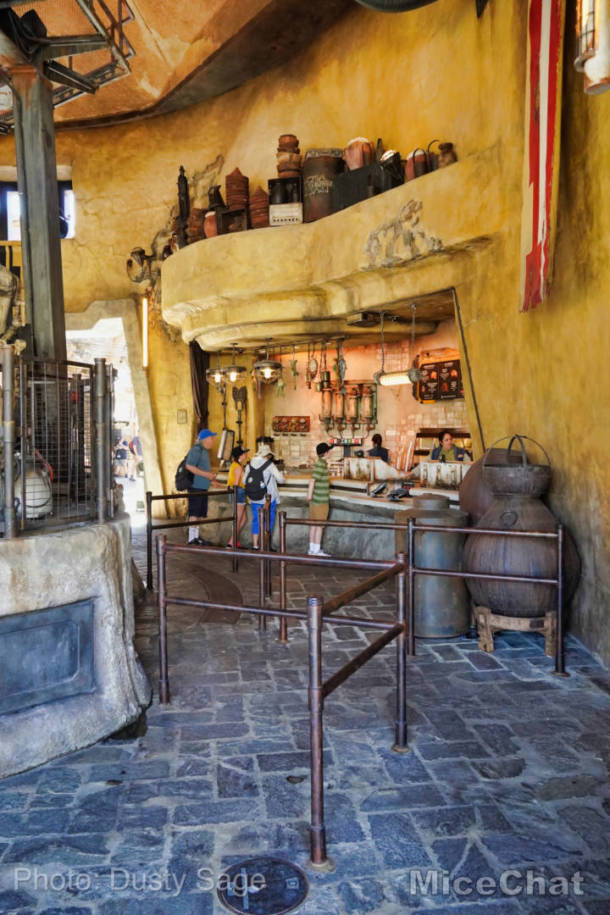 , Disneyland Update – A Most Unusual Birthday