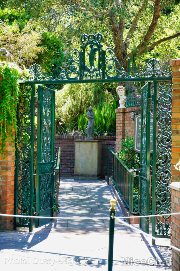 , Disneyland  Update – A Most Unusual Birthday