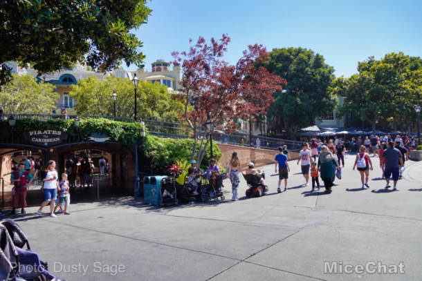 , Disneyland  Update – A Most Unusual Birthday